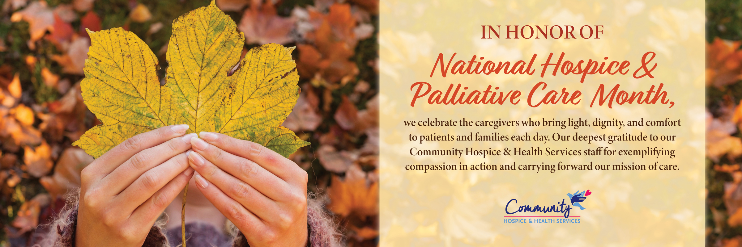 Palliative and Hospice Care National Palliative and Hospice Care